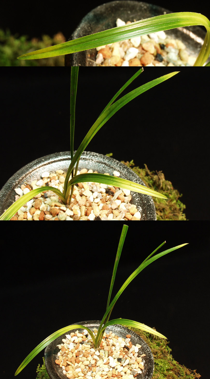 ������ ū������ �� �� �ֽ��ϴ�.