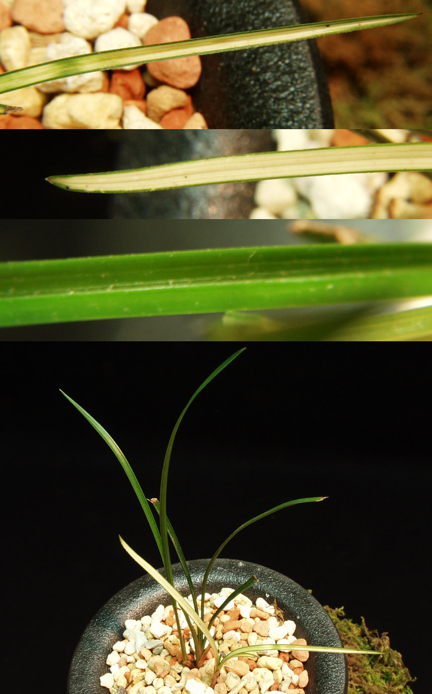 ������ ū������ �� �� �ֽ��ϴ�.