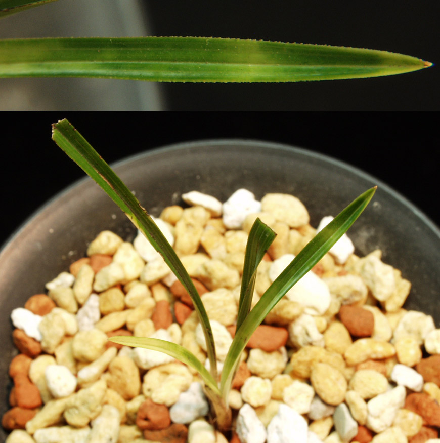 ������ ū������ �� �� �ֽ��ϴ�.