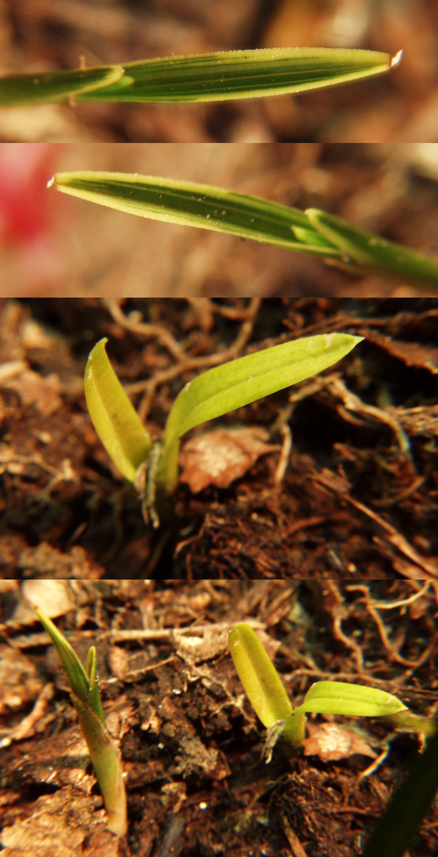 ������ ū������ �� �� �ֽ��ϴ�.