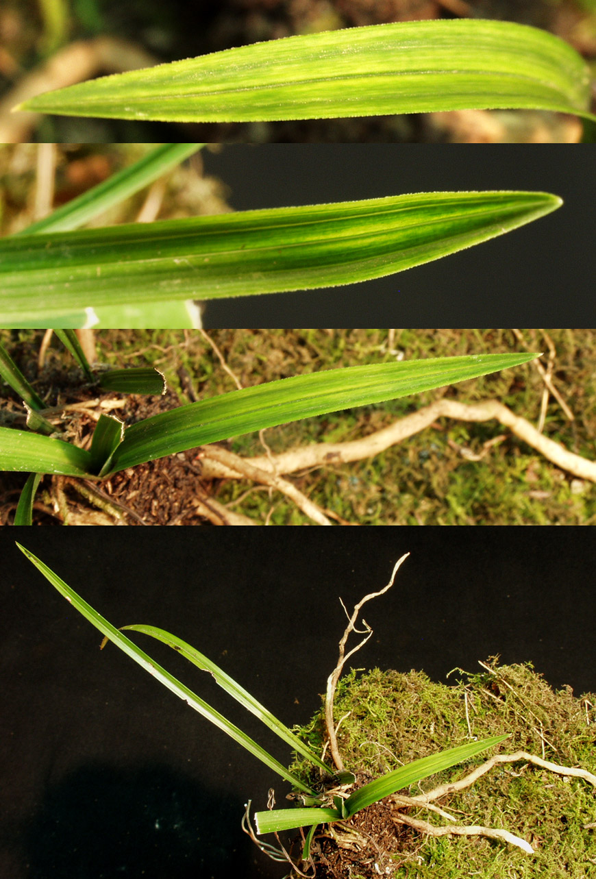 ������ ū������ �� �� �ֽ��ϴ�.