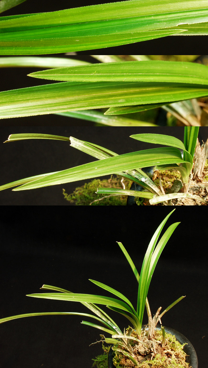 ������ ū������ �� �� �ֽ��ϴ�.