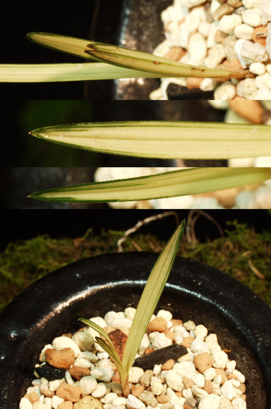 ������ ū������ �� �� �ֽ��ϴ�.