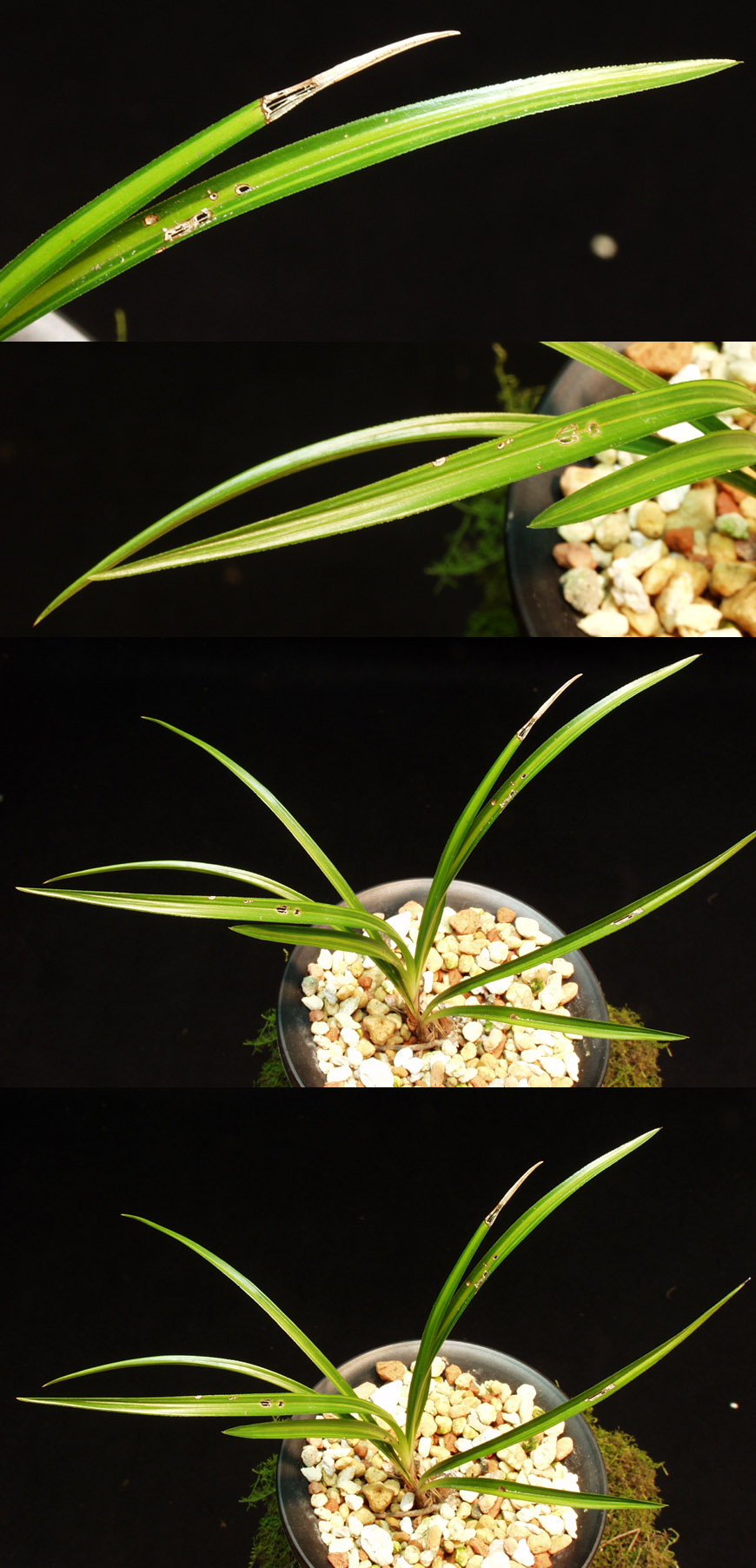 ������ ū������ �� �� �ֽ��ϴ�.