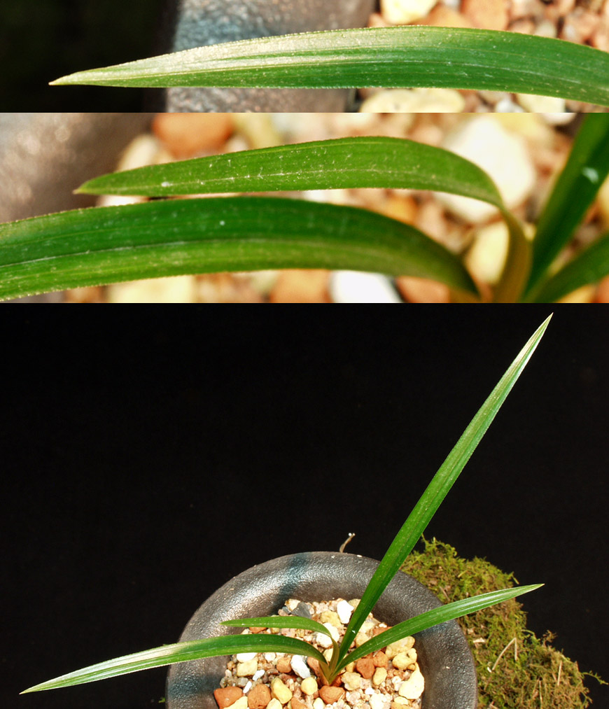 ������ ū������ �� �� �ֽ��ϴ�.