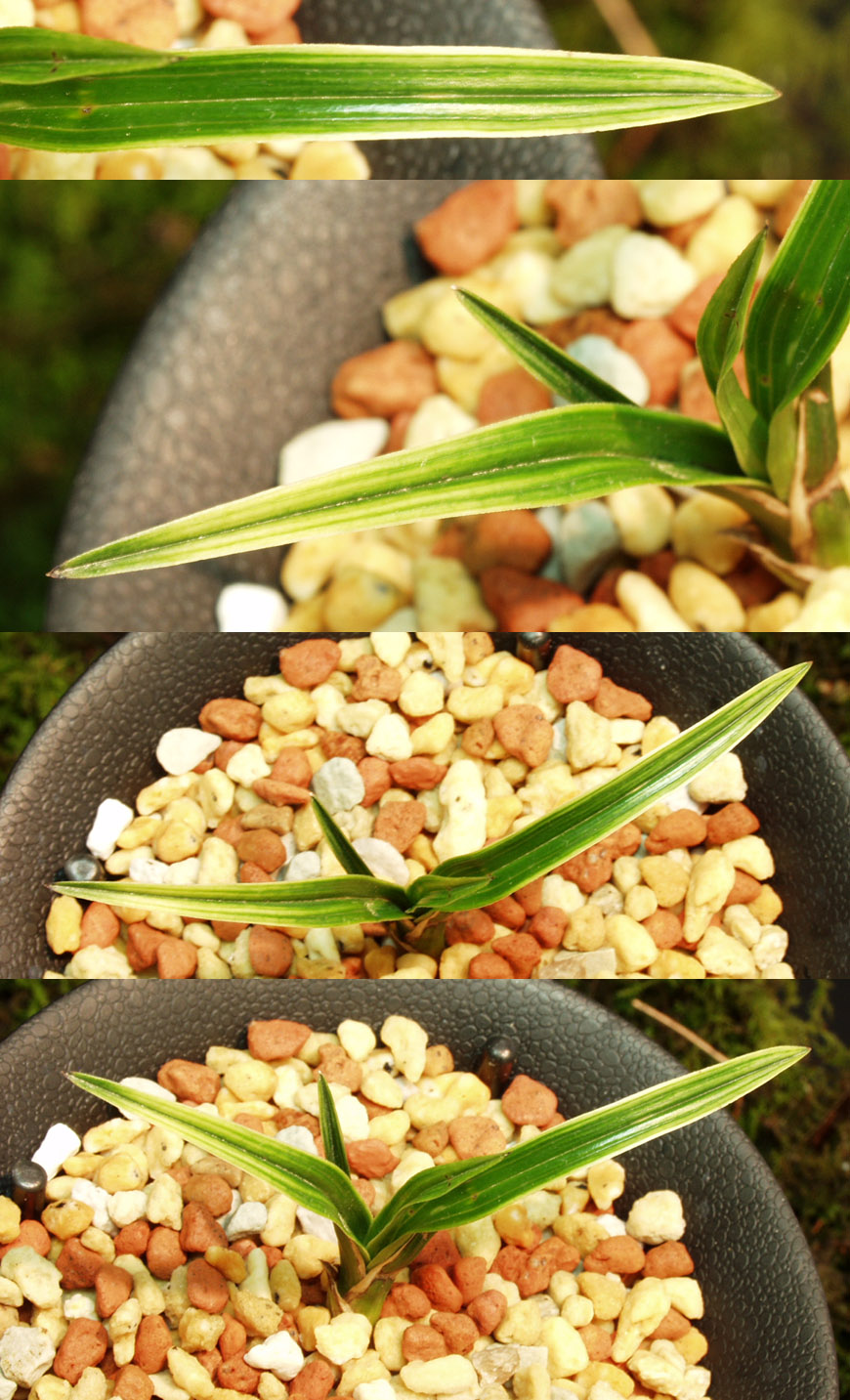 ������ ū������ �� �� �ֽ��ϴ�.