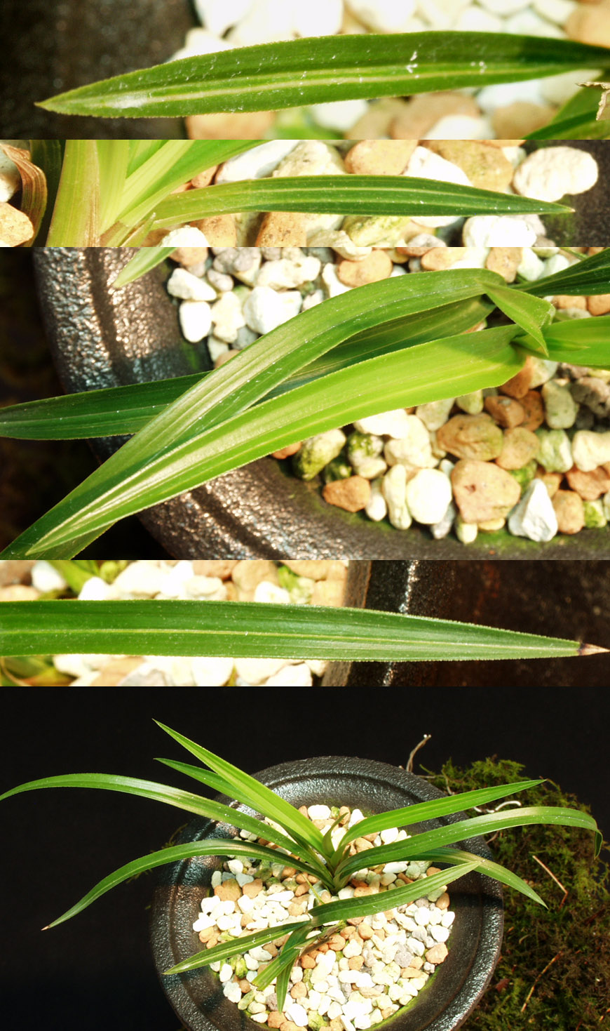 ������ ū������ �� �� �ֽ��ϴ�.