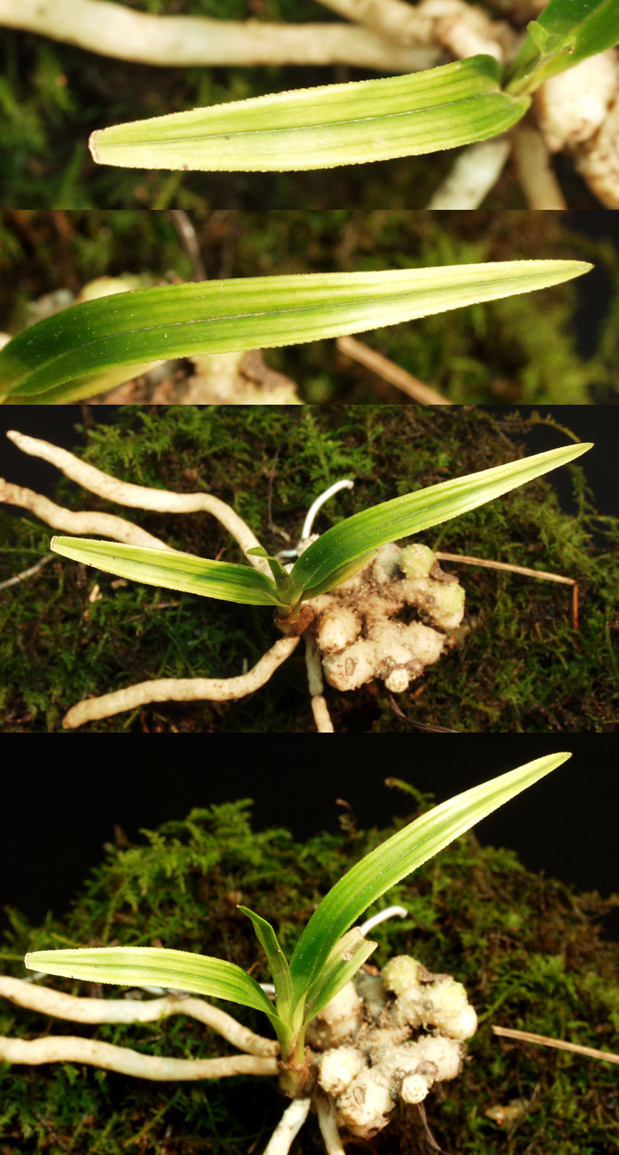 ������ ū������ �� �� �ֽ��ϴ�.