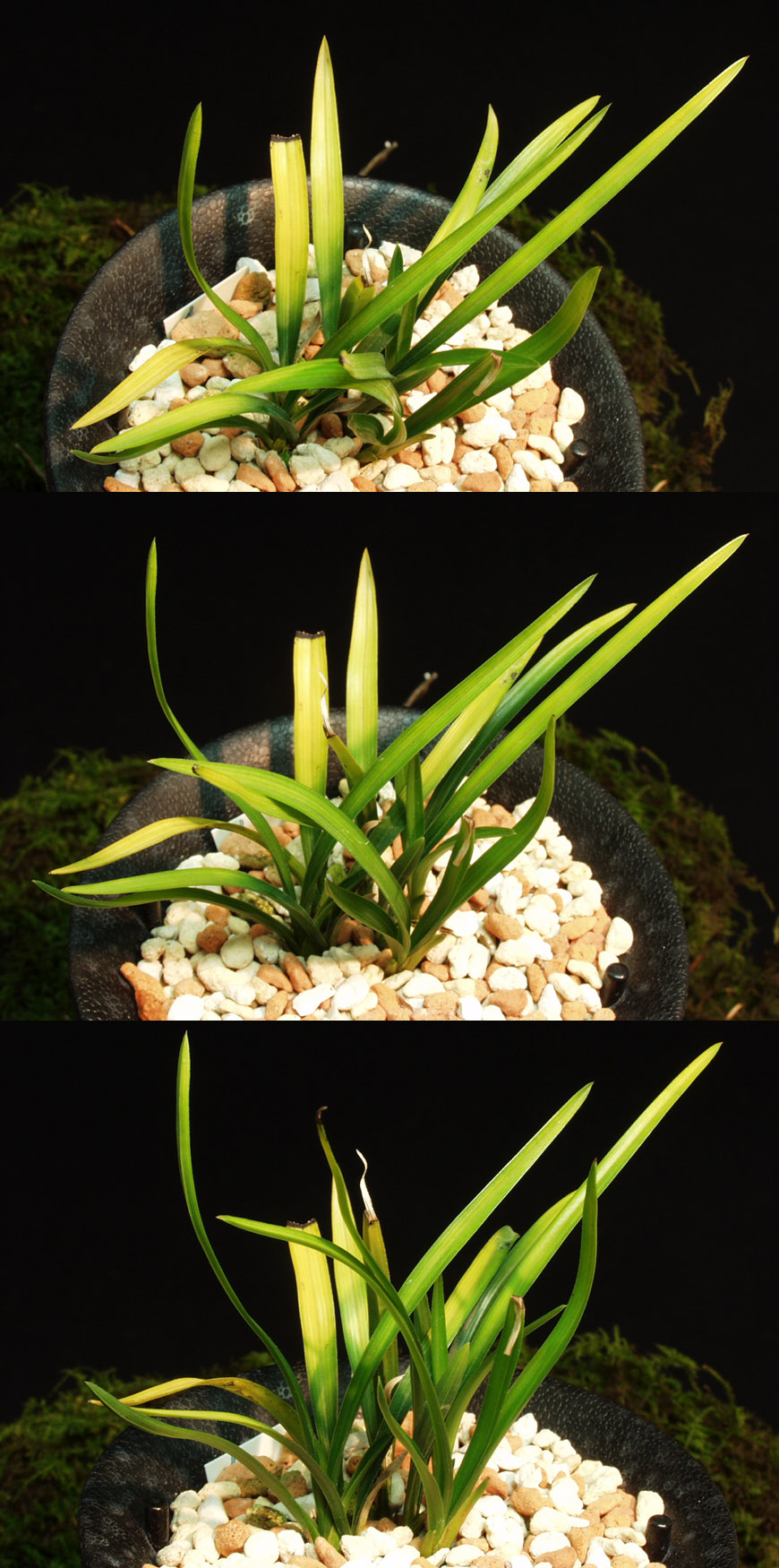 ������ ū������ �� �� �ֽ��ϴ�.