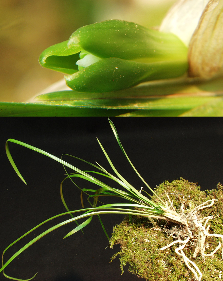 ������ ū������ �� �� �ֽ��ϴ�.