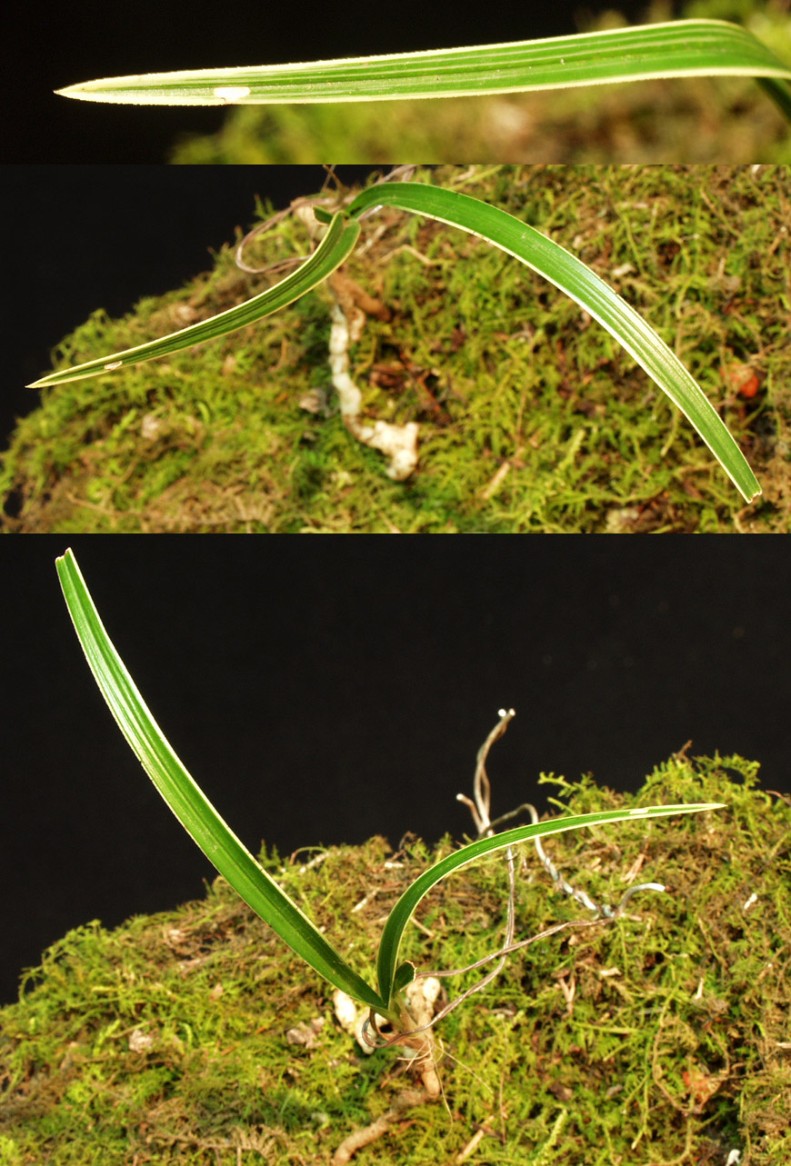 ������ ū������ �� �� �ֽ��ϴ�.