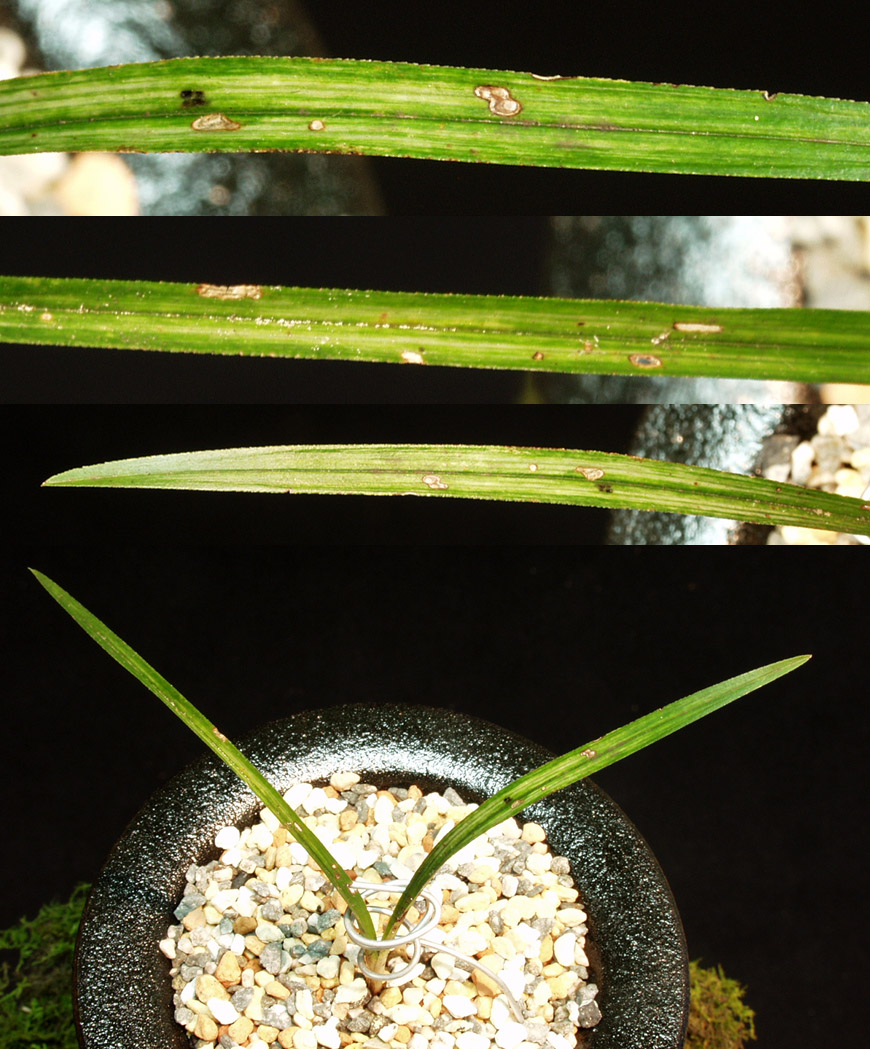 ������ ū������ �� �� �ֽ��ϴ�.