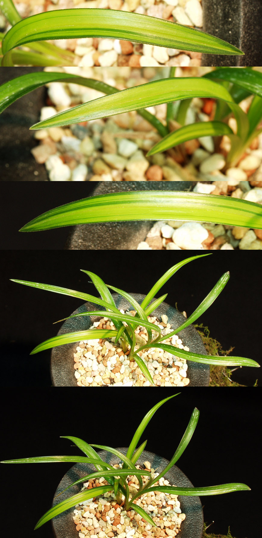 ������ ū������ �� �� �ֽ��ϴ�.