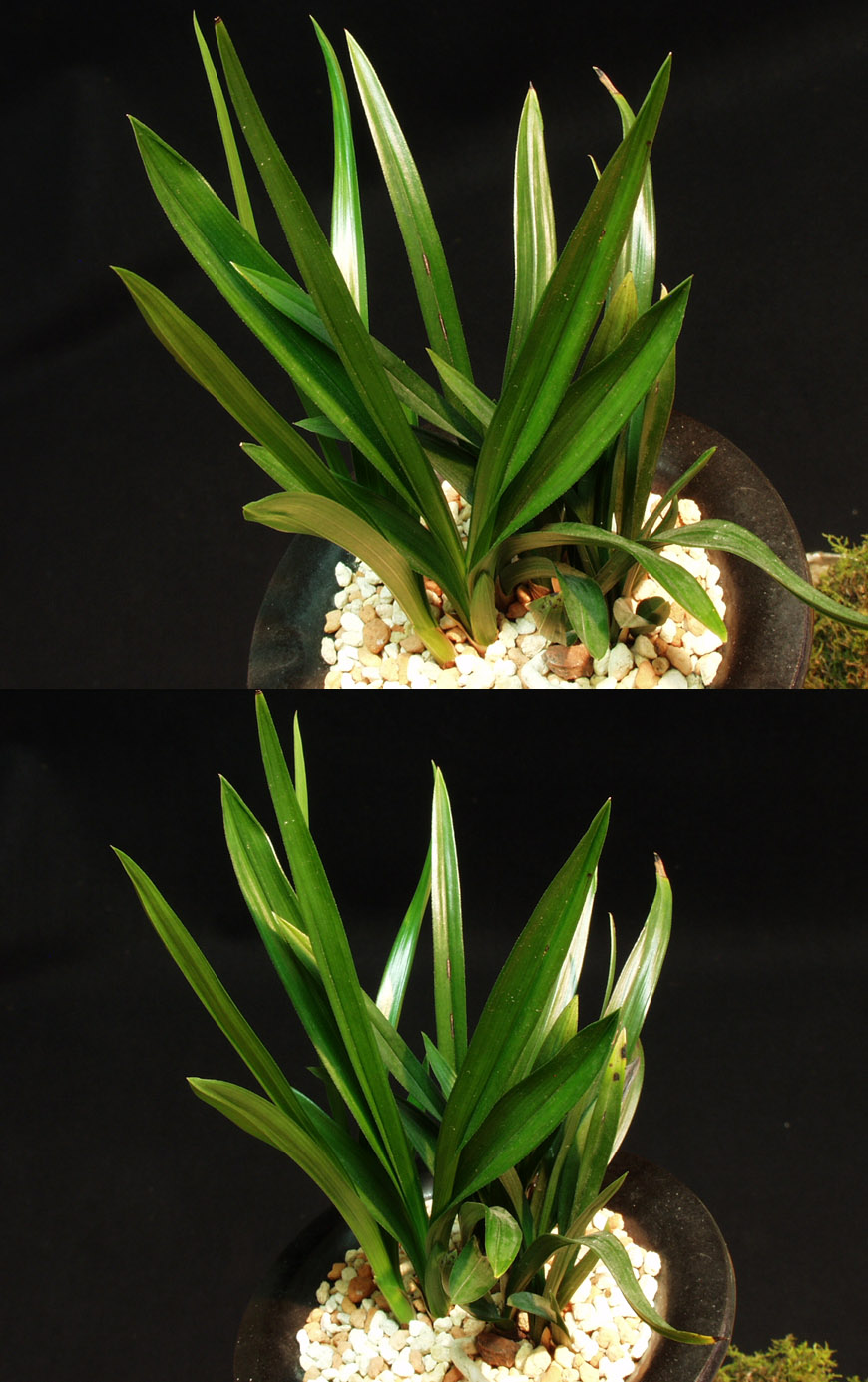 ������ ū������ �� �� �ֽ��ϴ�.