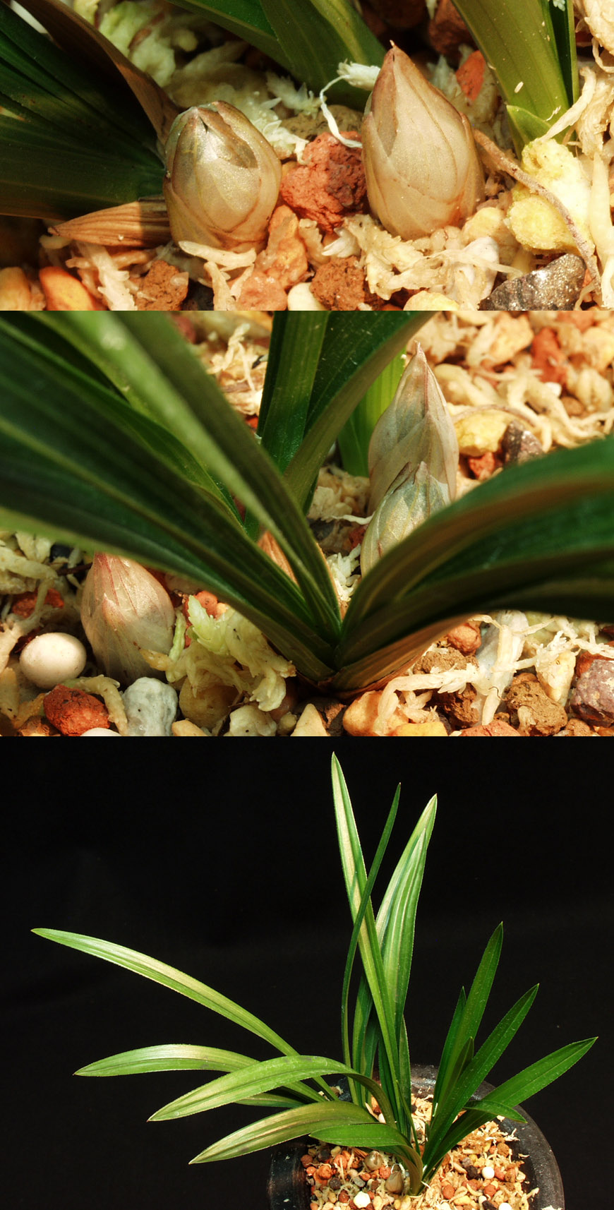 ������ ū������ �� �� �ֽ��ϴ�.