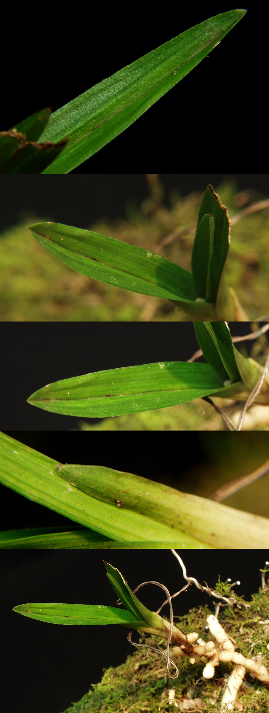 ������ ū������ �� �� �ֽ��ϴ�.