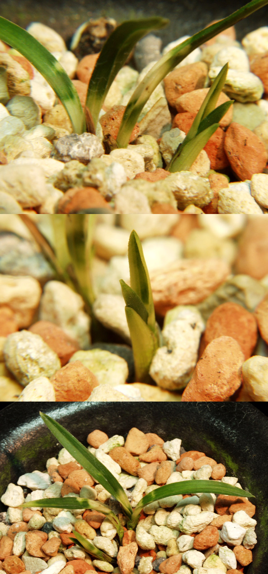 ������ ū������ �� �� �ֽ��ϴ�.