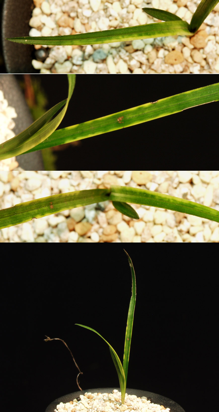 ������ ū������ �� �� �ֽ��ϴ�.