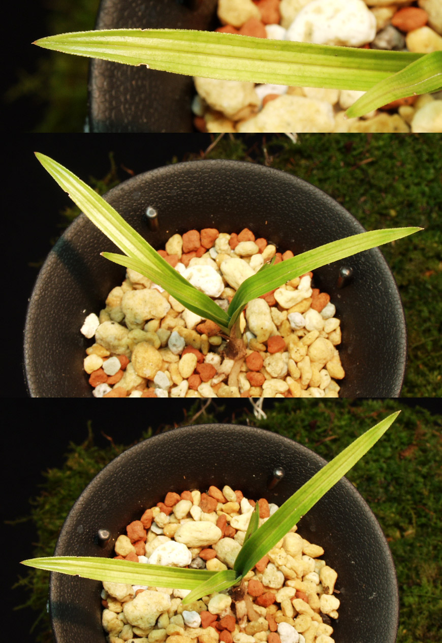 ������ ū������ �� �� �ֽ��ϴ�.