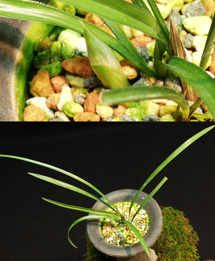 ������ ū������ �� �� �ֽ��ϴ�.