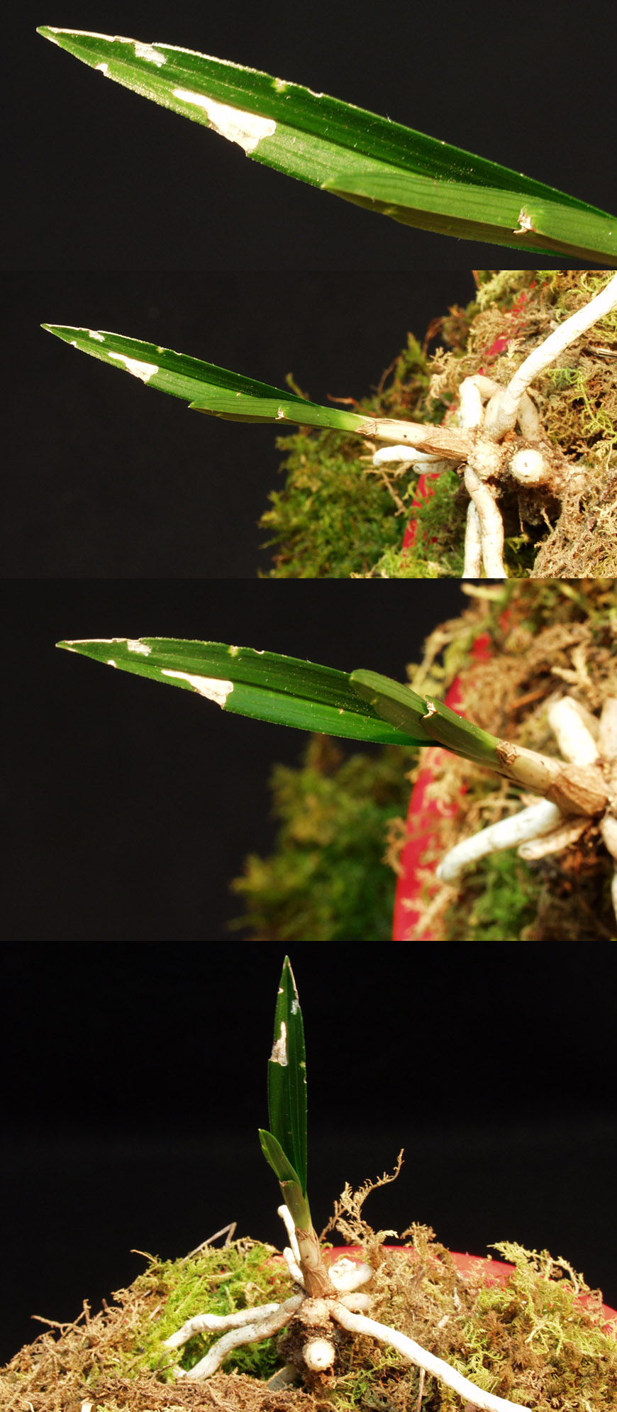 ������ ū������ �� �� �ֽ��ϴ�.