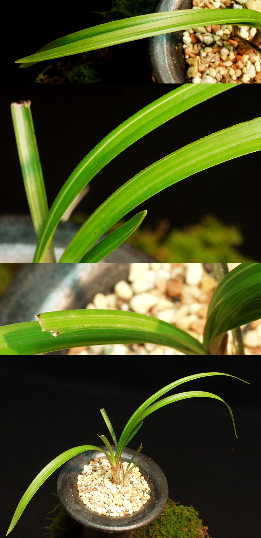 ������ ū������ �� �� �ֽ��ϴ�.