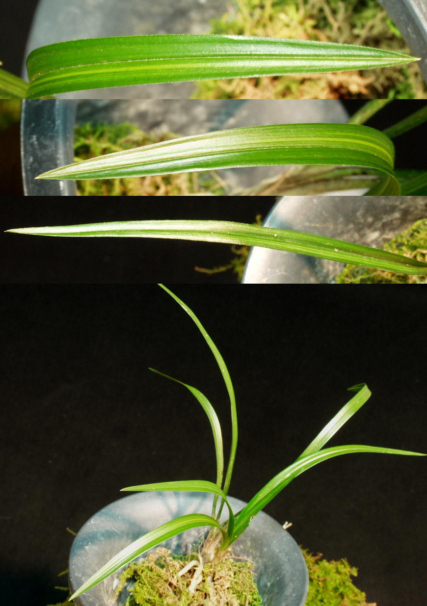 ������ ū������ �� �� �ֽ��ϴ�.