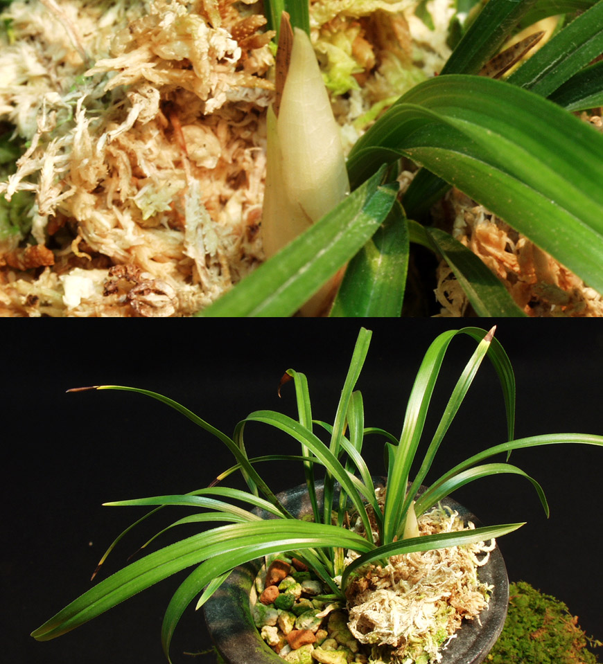 ������ ū������ �� �� �ֽ��ϴ�.