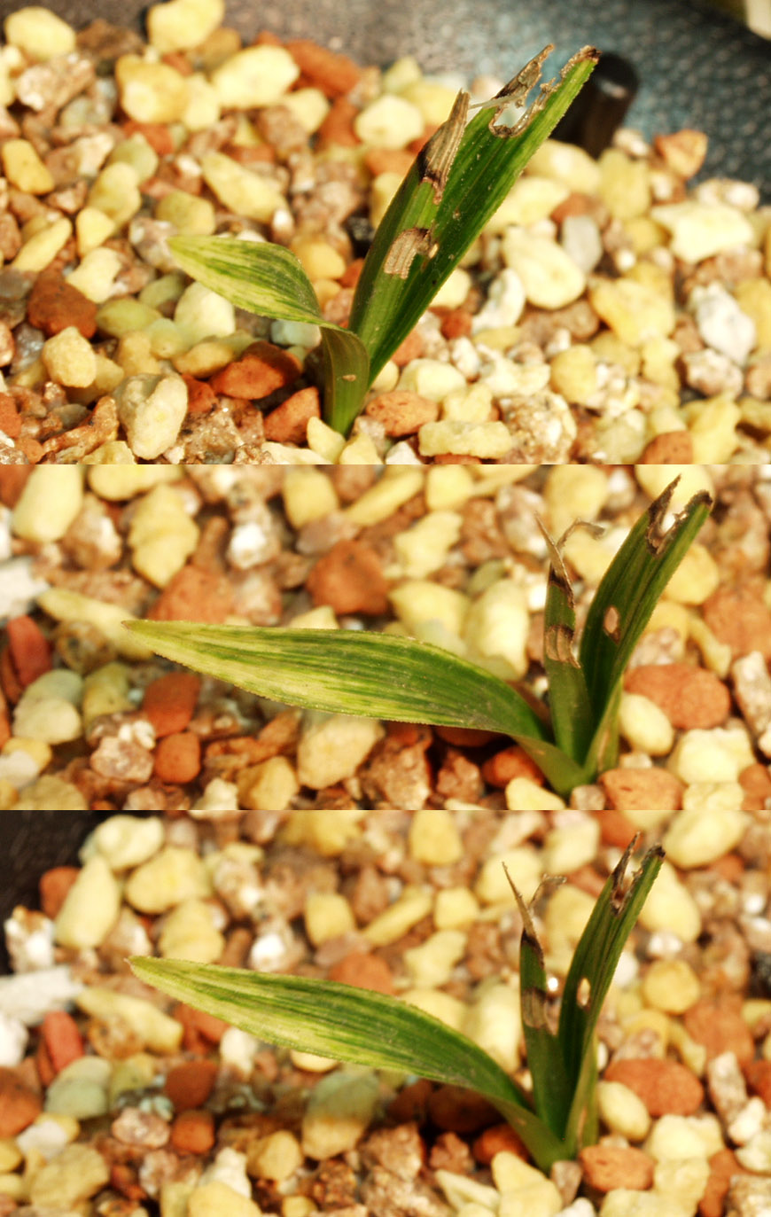 ������ ū������ �� �� �ֽ��ϴ�.