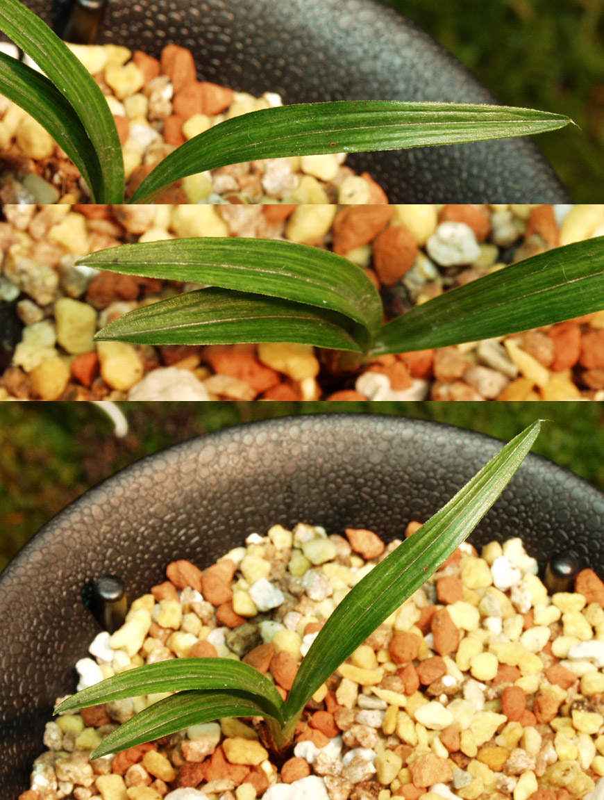 ������ ū������ �� �� �ֽ��ϴ�.