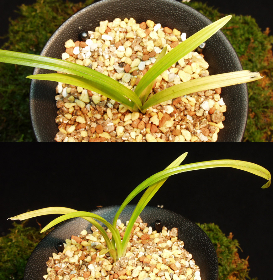 ������ ū������ �� �� �ֽ��ϴ�.