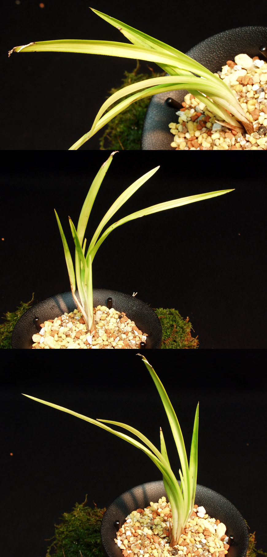 ������ ū������ �� �� �ֽ��ϴ�.