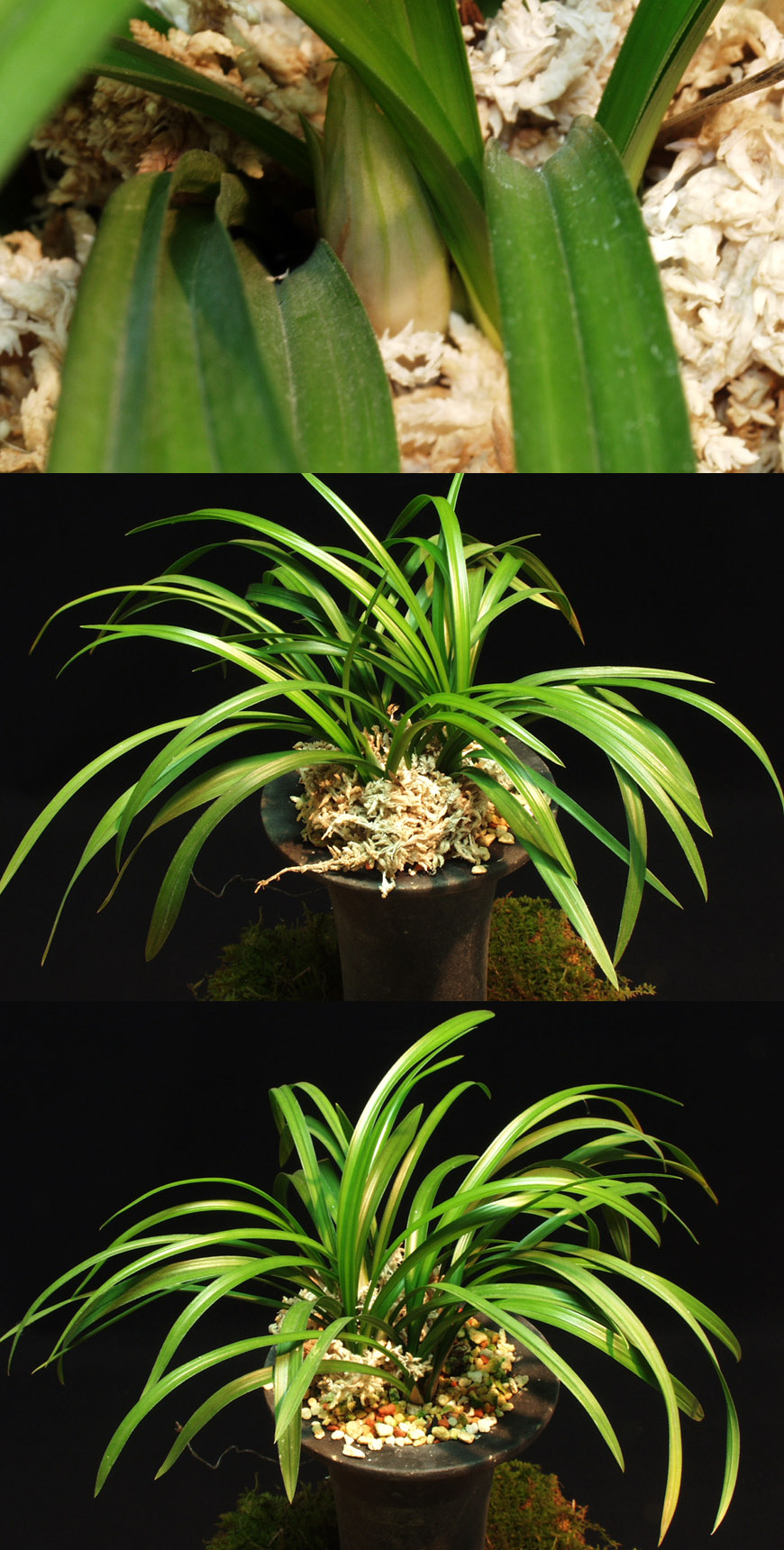 ������ ū������ �� �� �ֽ��ϴ�.