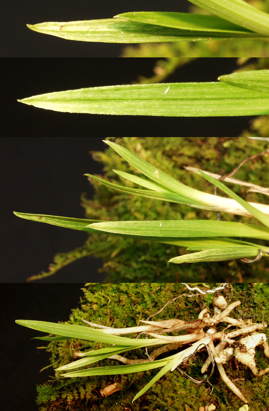 ������ ū������ �� �� �ֽ��ϴ�.