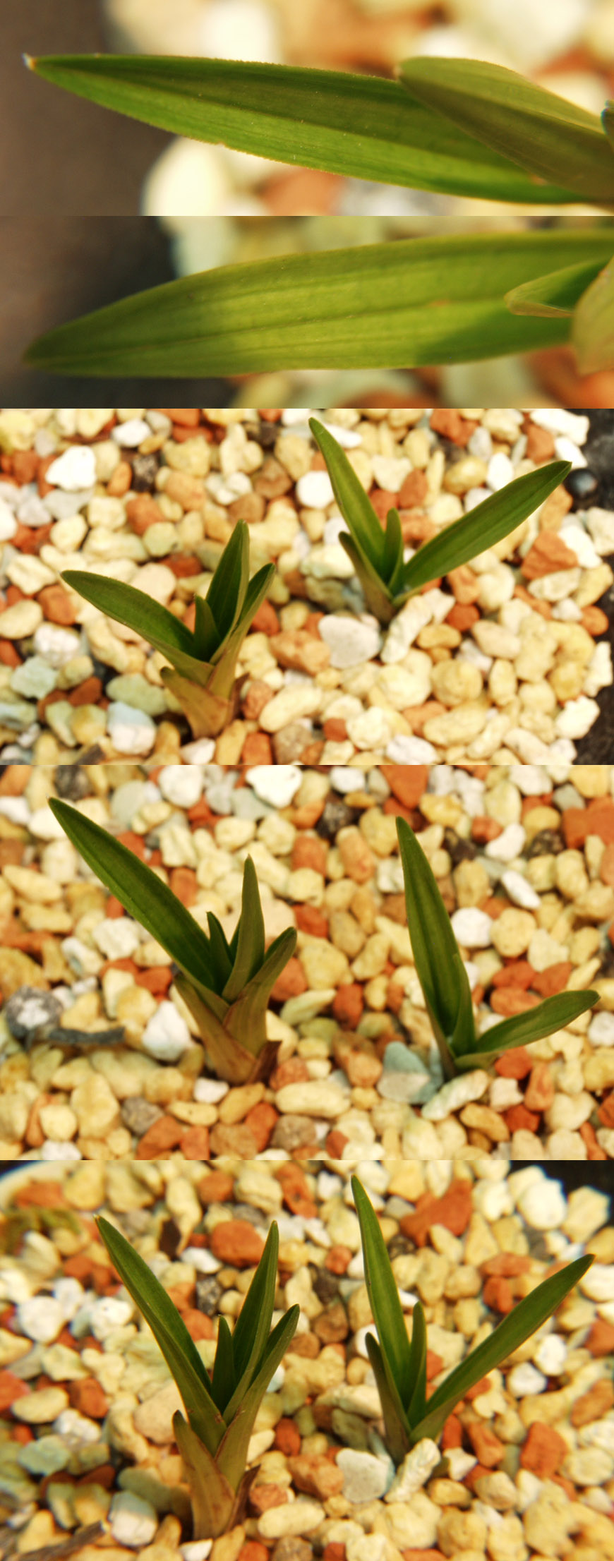 ������ ū������ �� �� �ֽ��ϴ�.