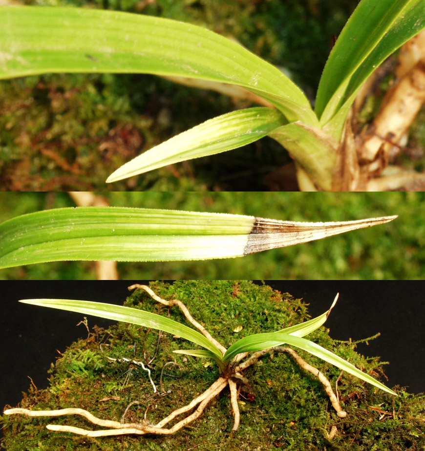 ������ ū������ �� �� �ֽ��ϴ�.