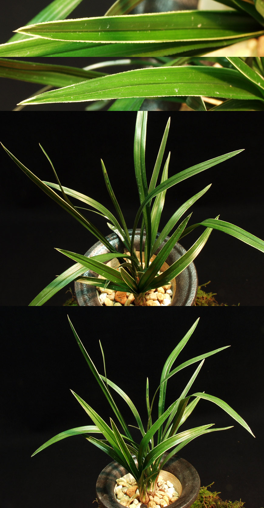 ������ ū������ �� �� �ֽ��ϴ�.