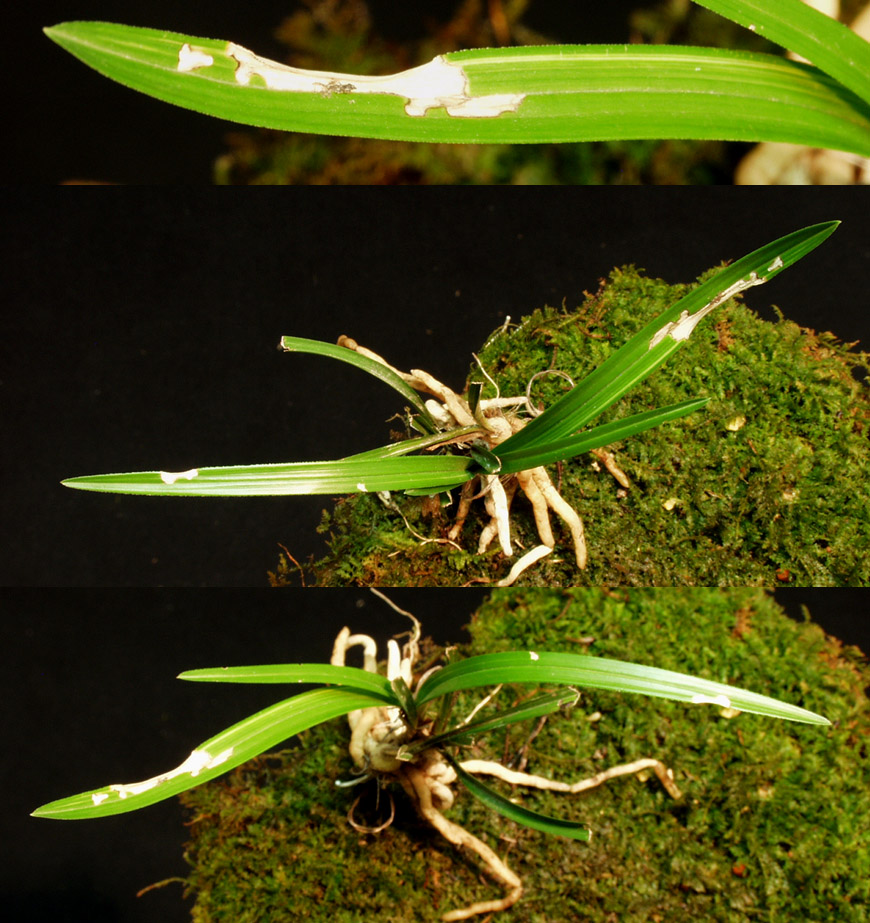 ������ ū������ �� �� �ֽ��ϴ�.