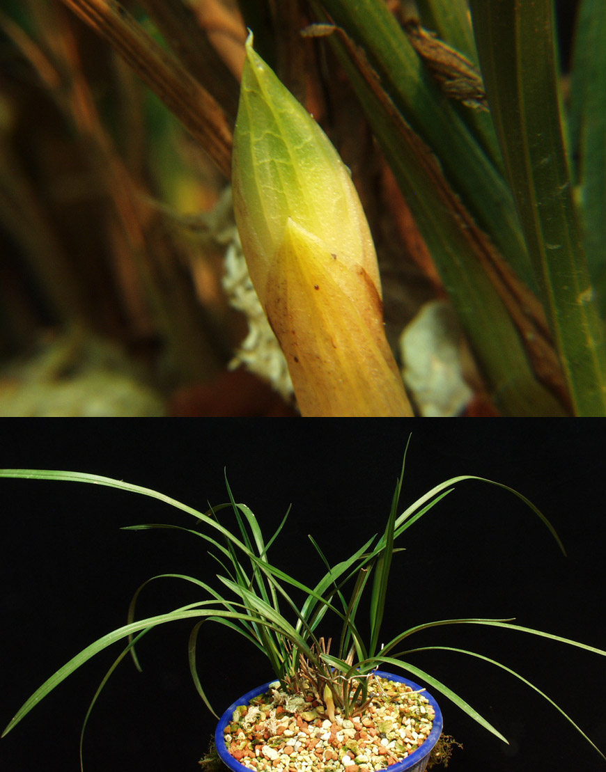 ������ ū������ �� �� �ֽ��ϴ�.