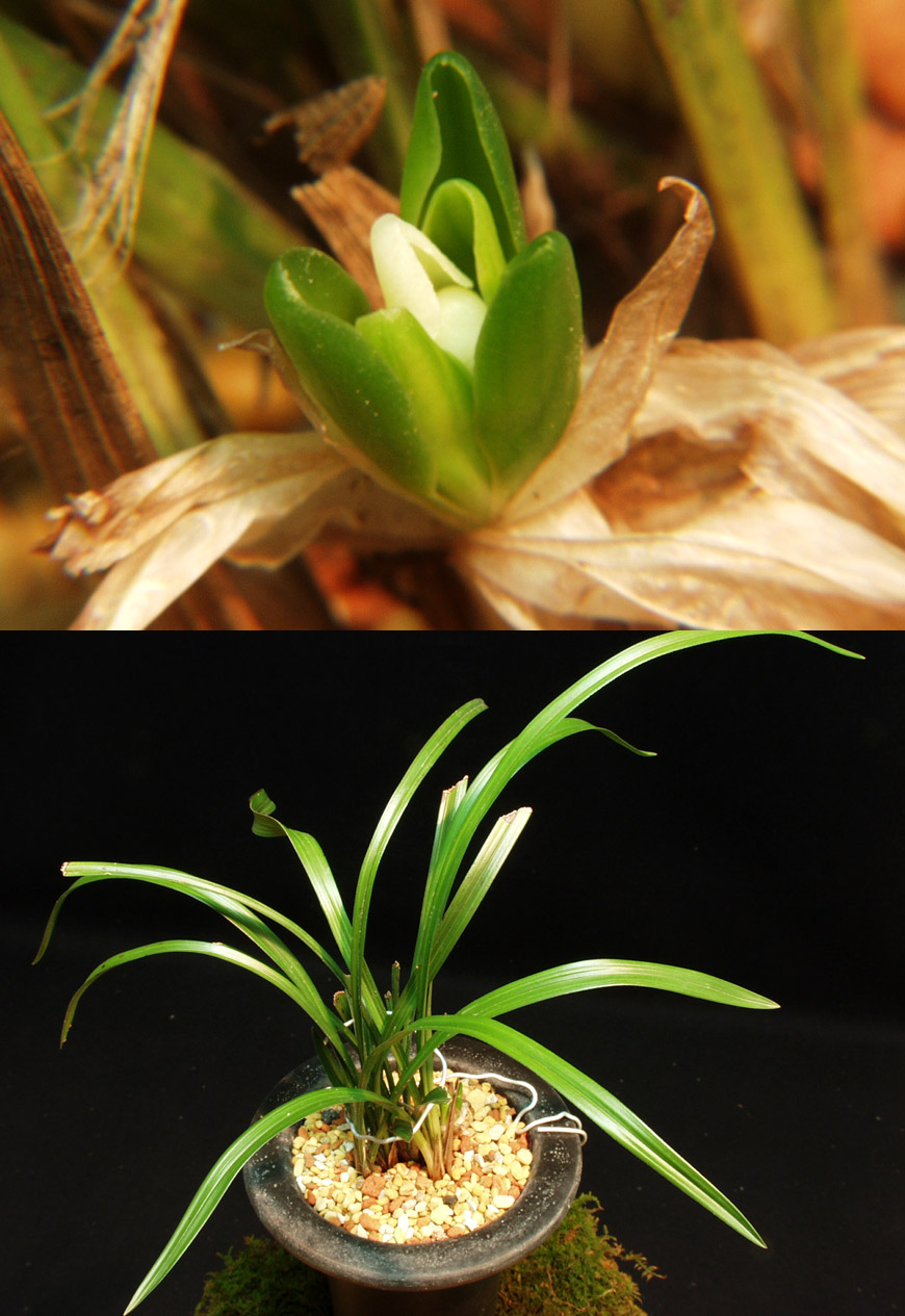 ������ ū������ �� �� �ֽ��ϴ�.