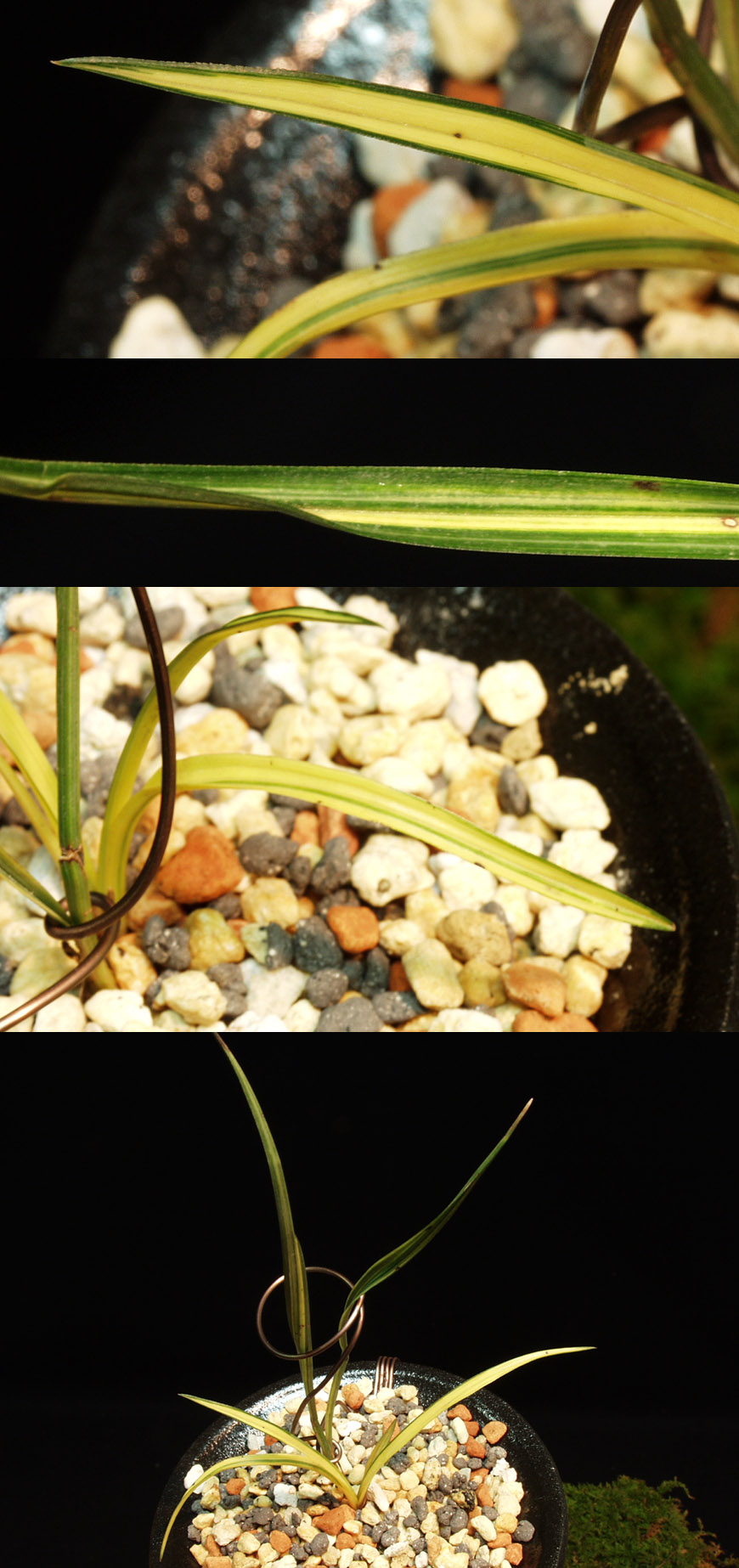 ������ ū������ �� �� �ֽ��ϴ�.