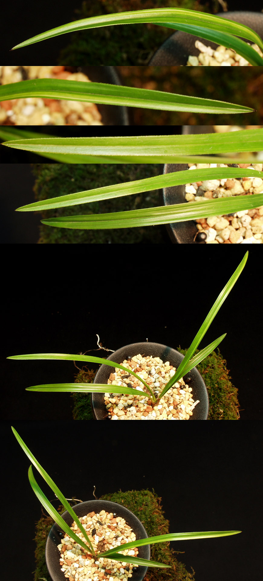 ������ ū������ �� �� �ֽ��ϴ�.