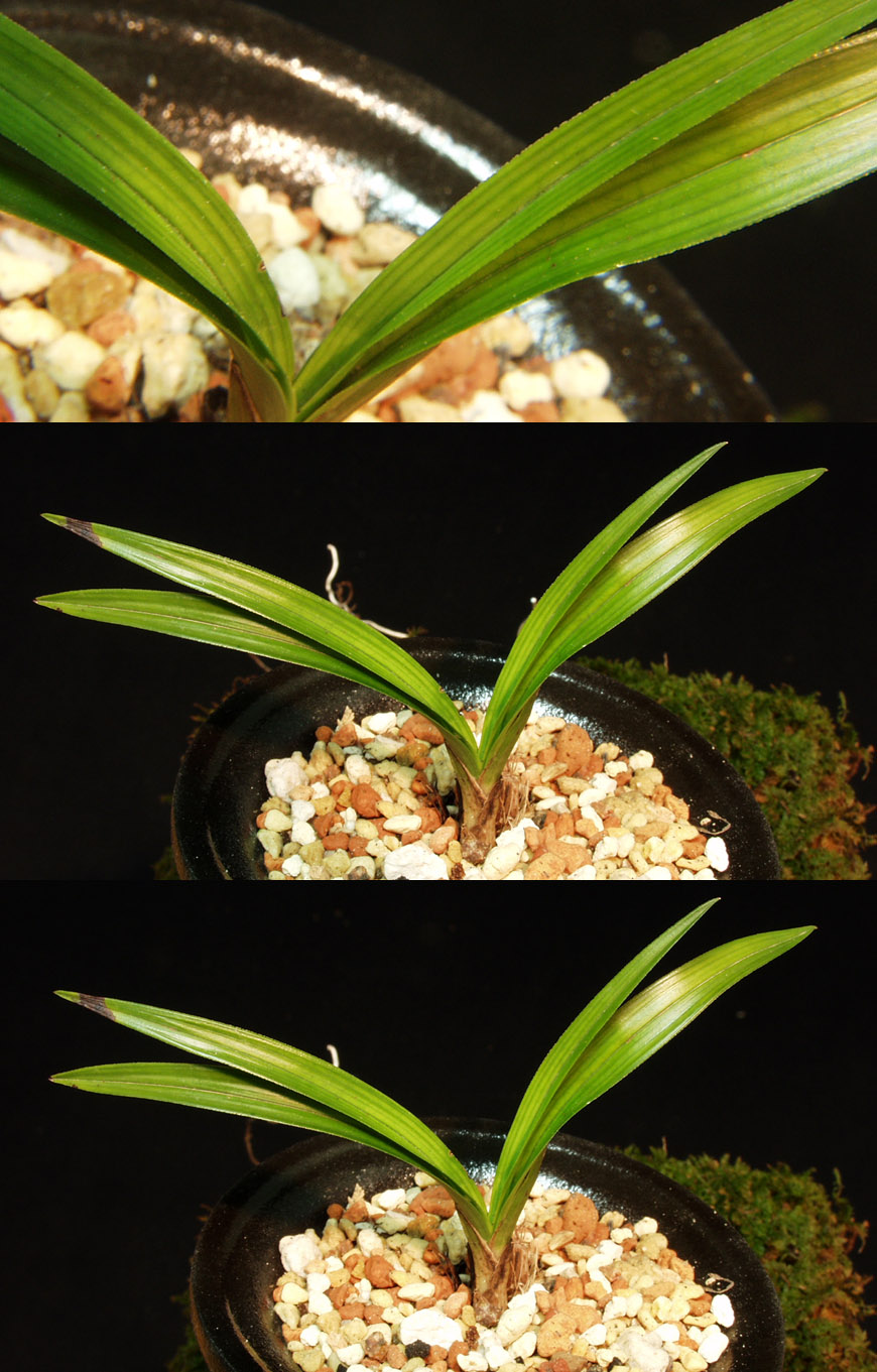 ������ ū������ �� �� �ֽ��ϴ�.