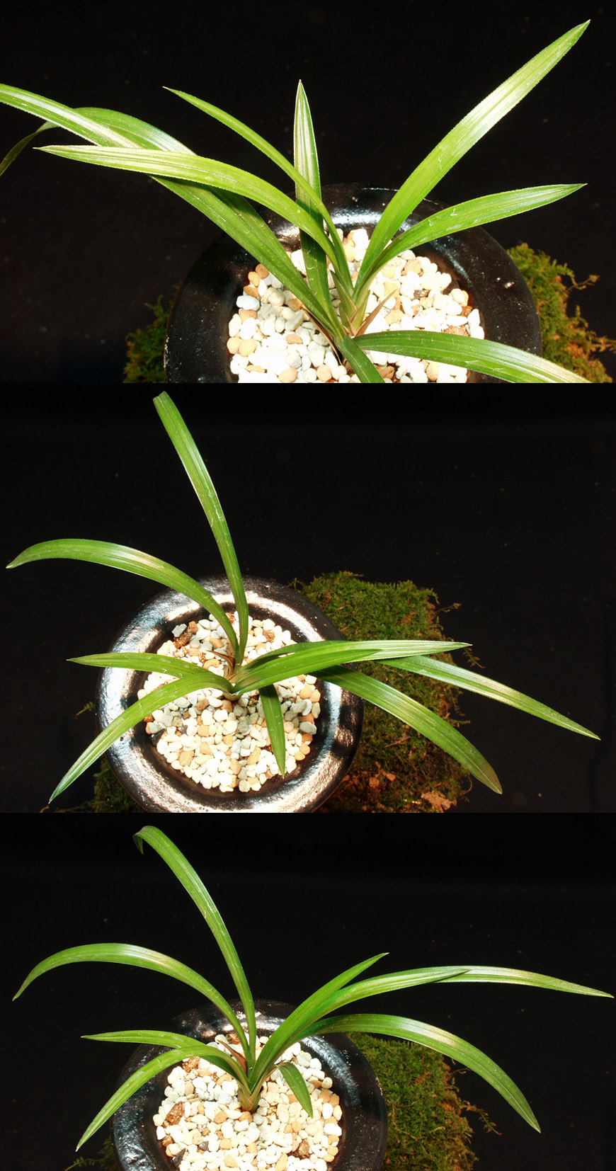 ������ ū������ �� �� �ֽ��ϴ�.