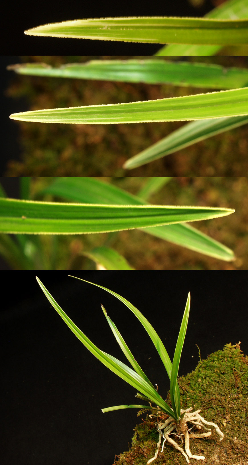 ������ ū������ �� �� �ֽ��ϴ�.