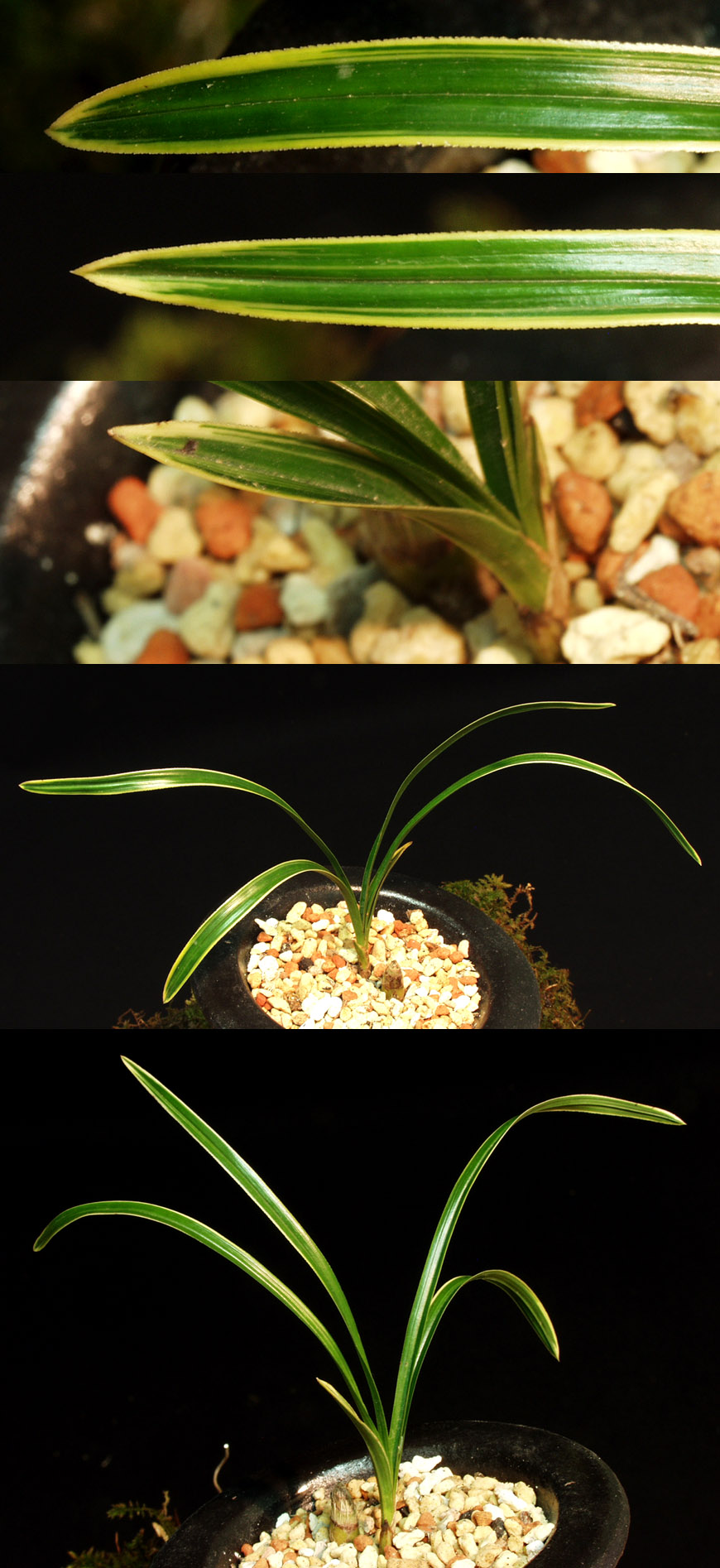 ������ ū������ �� �� �ֽ��ϴ�.