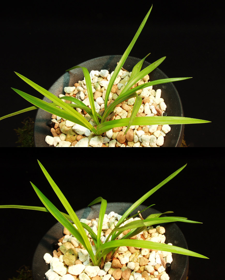 ������ ū������ �� �� �ֽ��ϴ�.