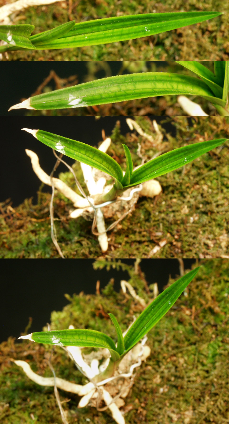 ������ ū������ �� �� �ֽ��ϴ�.