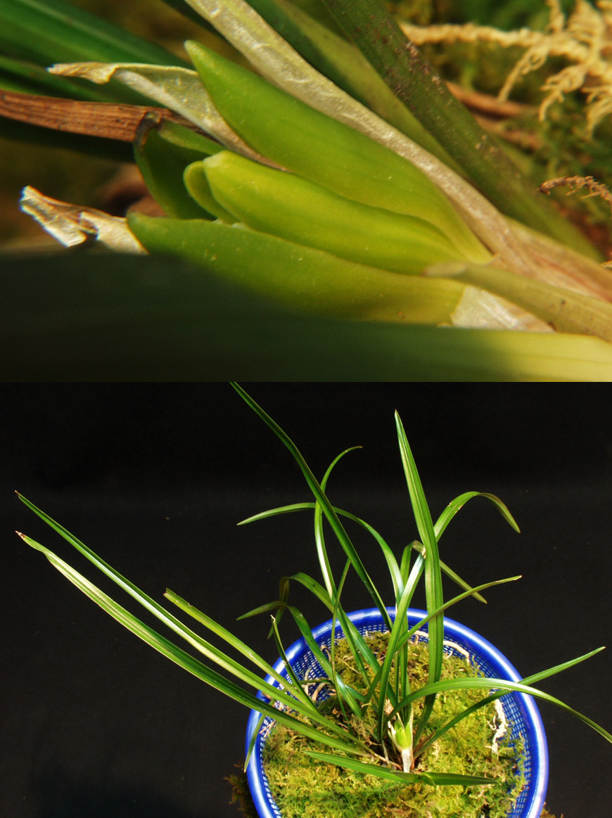 ������ ū������ �� �� �ֽ��ϴ�.