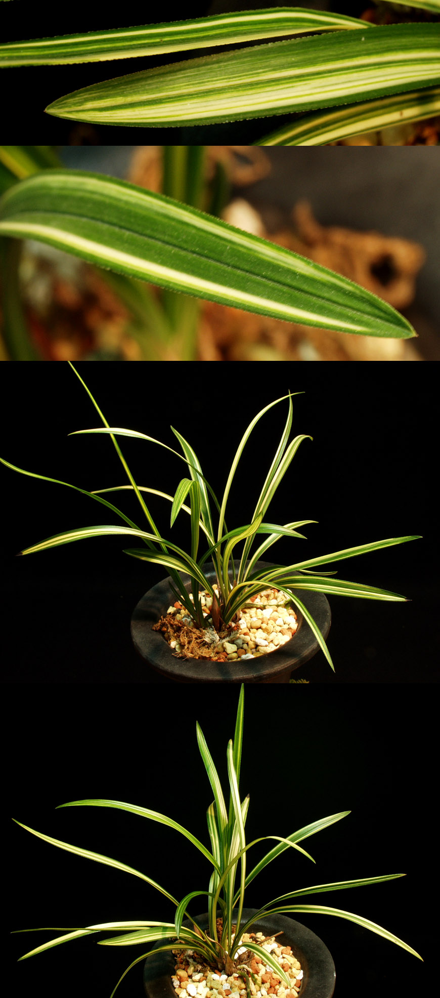 ������ ū������ �� �� �ֽ��ϴ�.